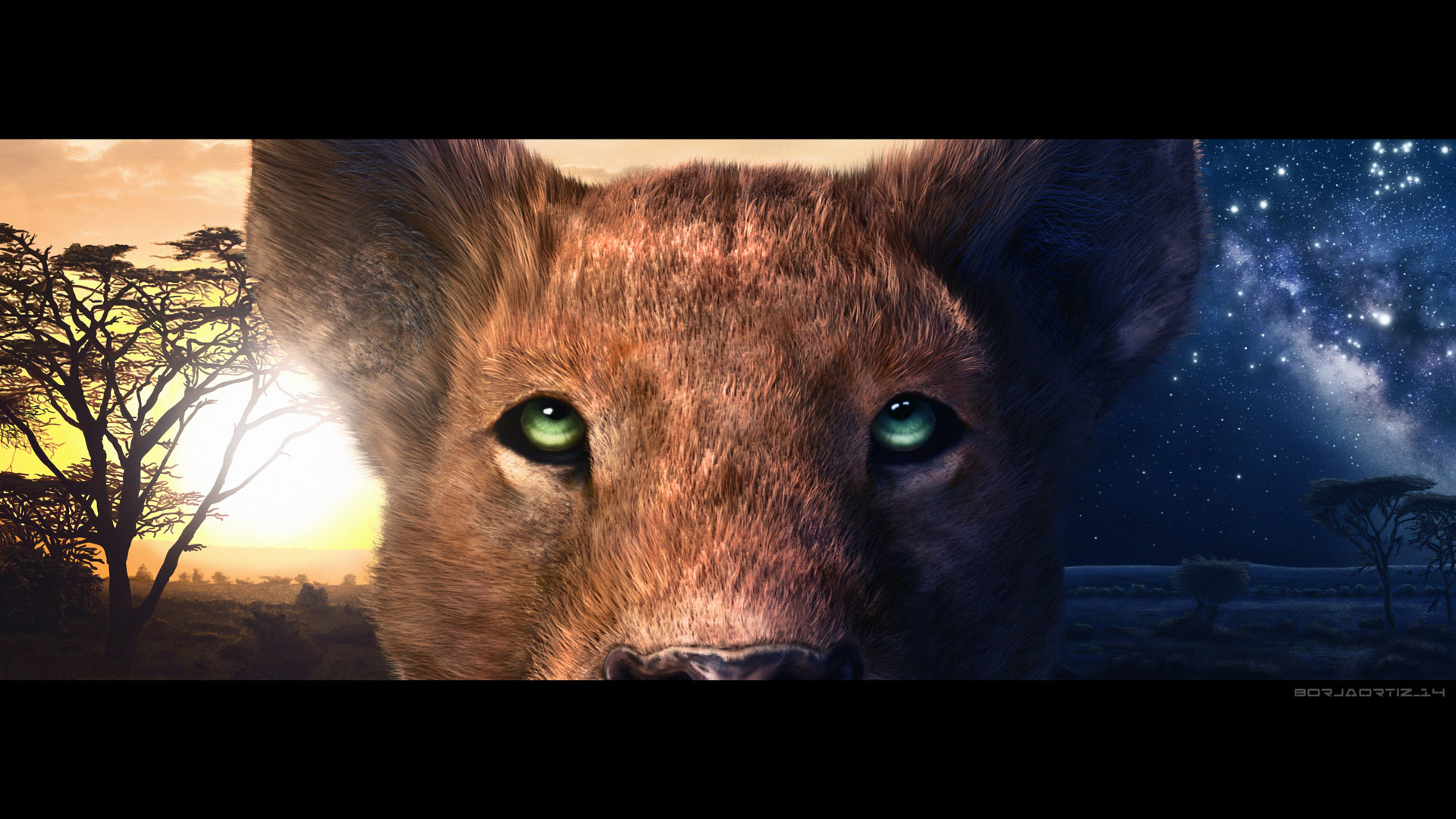 Lioness